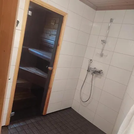 Aleksi With Sauna Apartment *