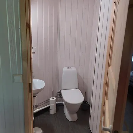 Aleksi With Sauna