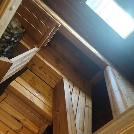 Aleksi With Sauna