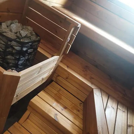 Aleksi With Sauna