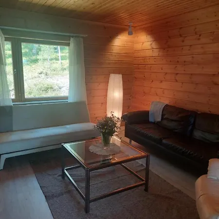 Aleksi With Sauna Lägenhet