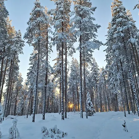 Aleksi With Sauna
